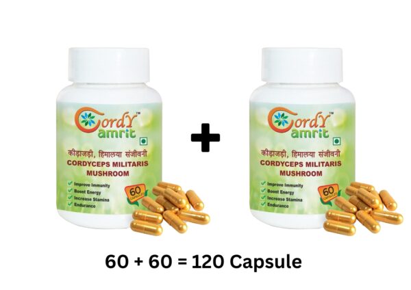 CORDY AMRIT Cordyceps Militaris(keedajadi) Capsules 60*2  (2 x 60 Capsules)