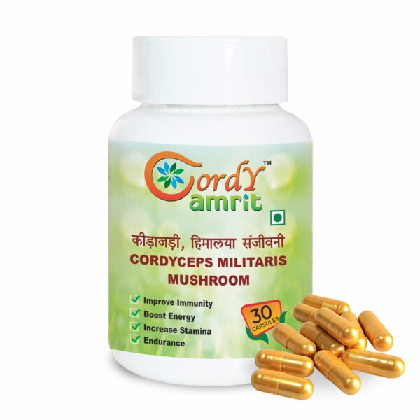 CORDY AMRIT Cordyceps Militaris (keedajadi) Capsules  (30 Capsules)